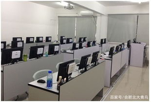合肥計算機編程培訓新選擇 北大青鳥協(xié)同學院深度解析
